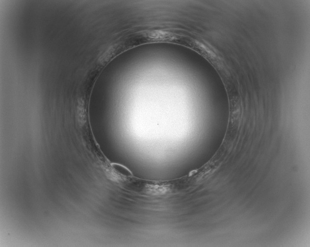 X0000071950469200607212231