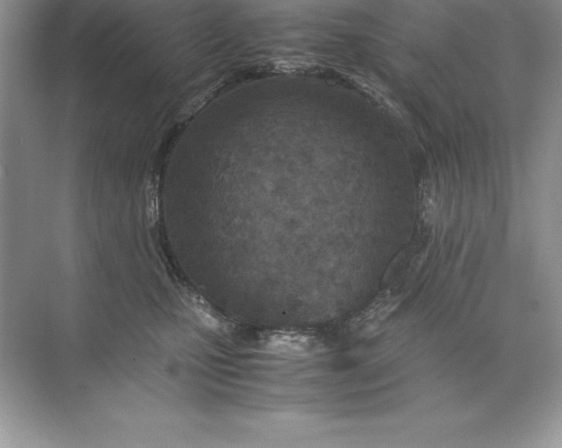 X0000071950471200607212231