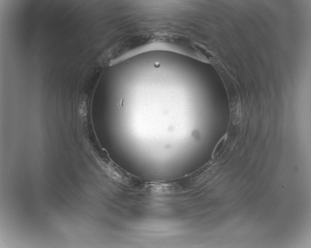 X0000071950472200607212231