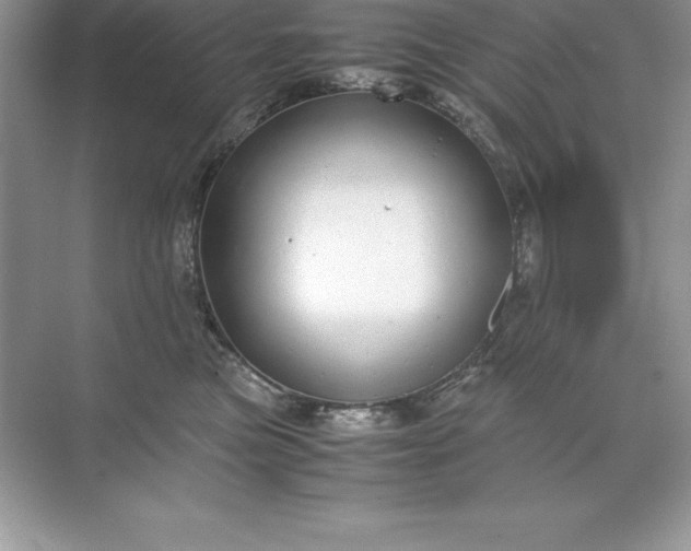 X0000071950473200607212231