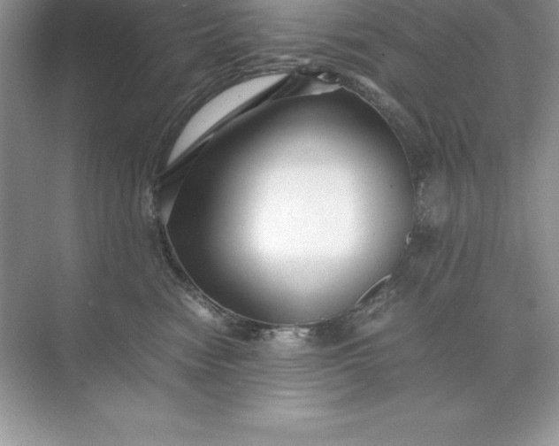 X0000071950474200607212231