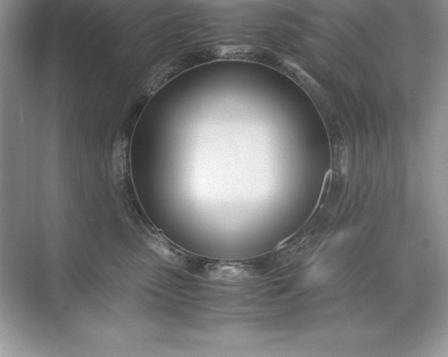 X0000071950475200607212231