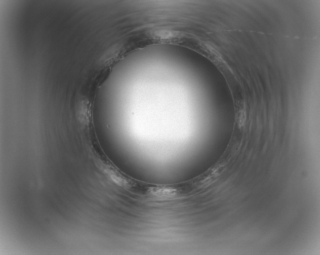 X0000071950476200607212231