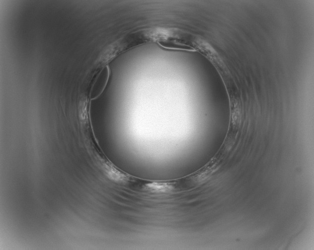 X0000071950477200607212231