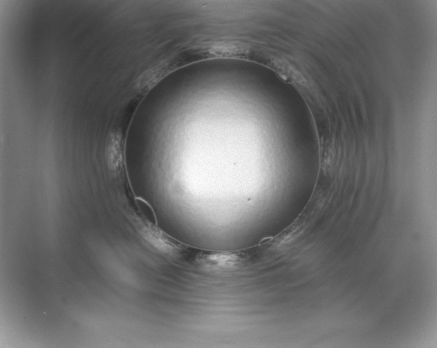 X0000071950478200607212231