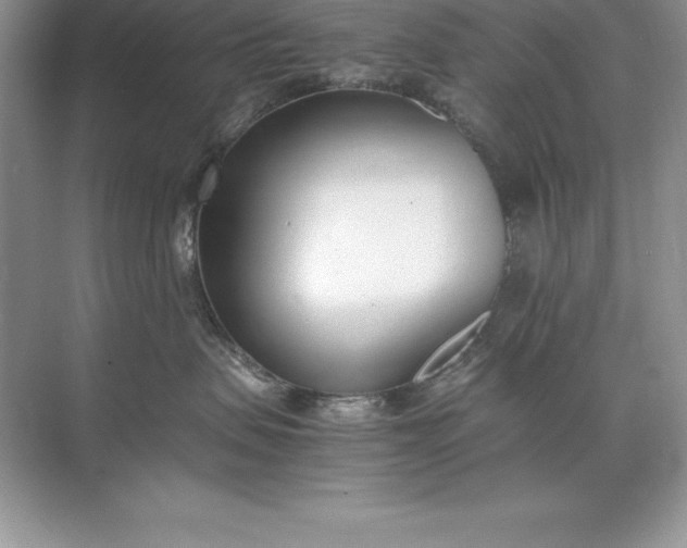 X0000071950479200607212231