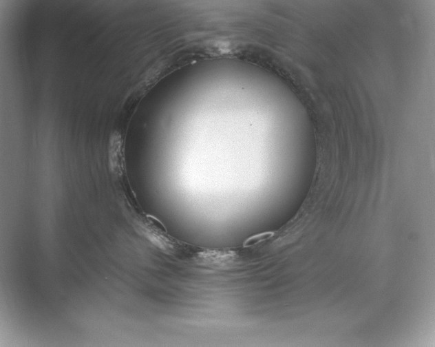 X0000071950480200607212231