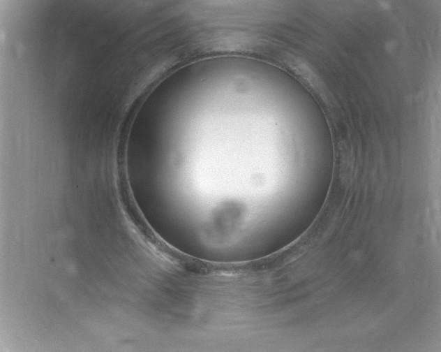 X0000071950482200607212230