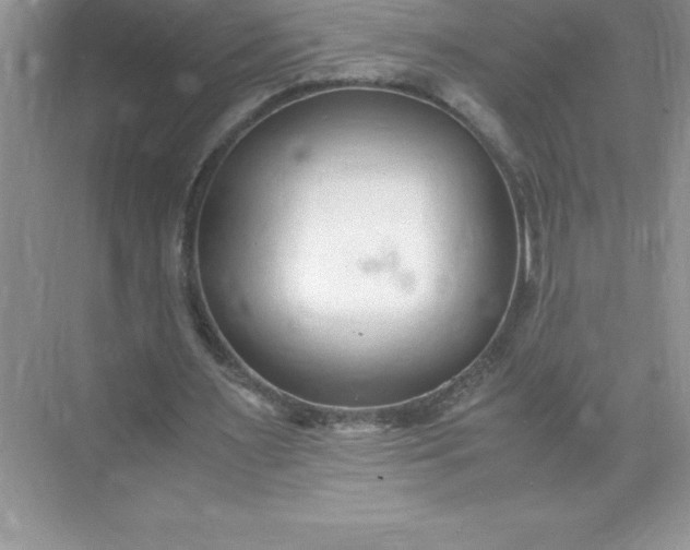 X0000071950483200607212230