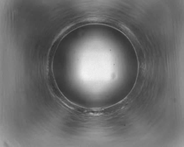 X0000071950484200607212230