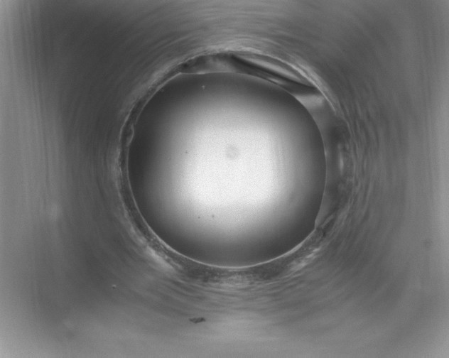 X0000071950485200607212230