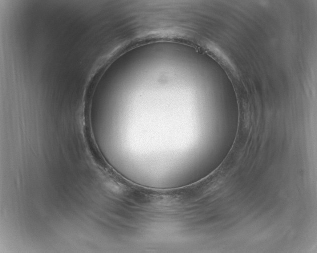 X0000071950486200607212230