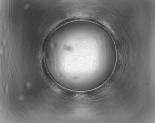 X0000071950487200607212230