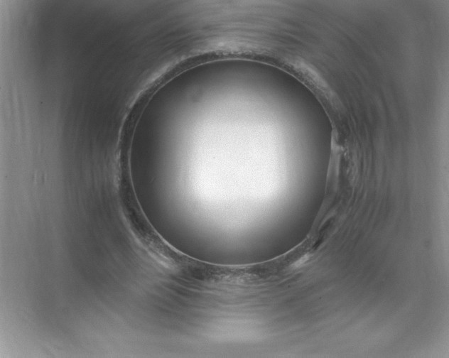 X0000071950488200607212230