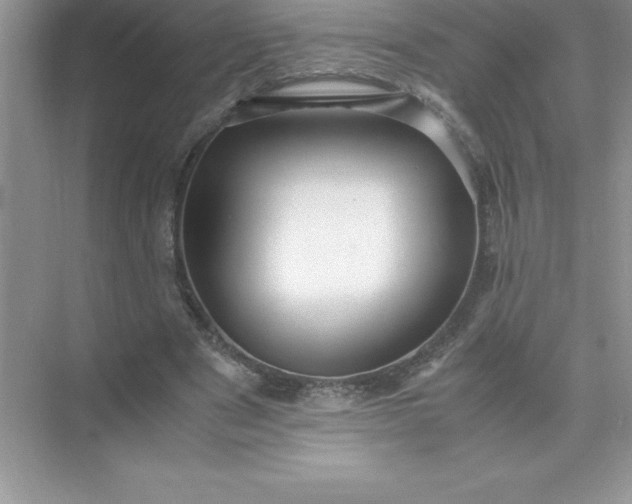 X0000071950489200607212230