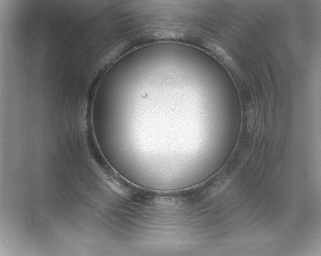 X0000071950490200607212230