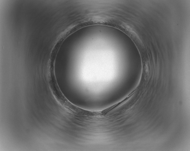 X0000071950492200607212230