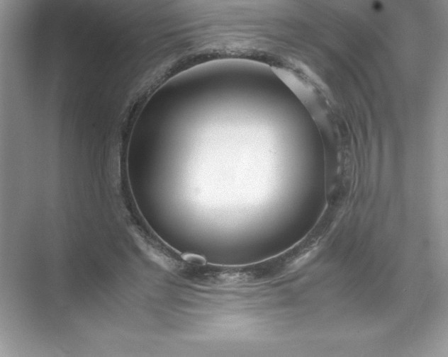 X0000071950493200607212230