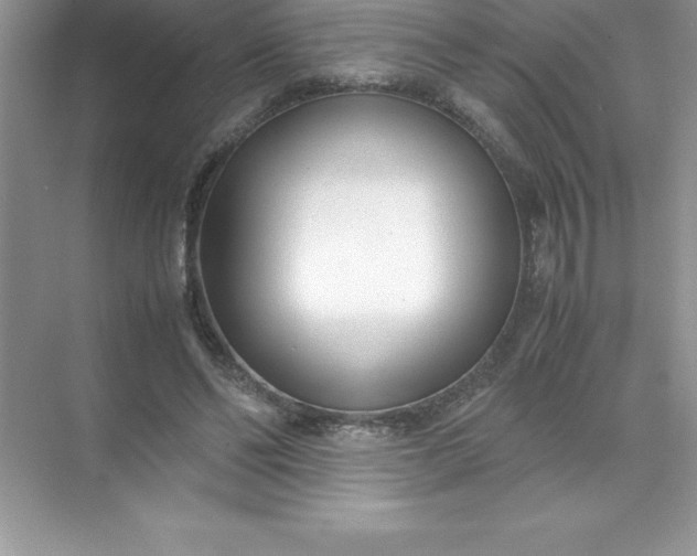 X0000071950494200607212230