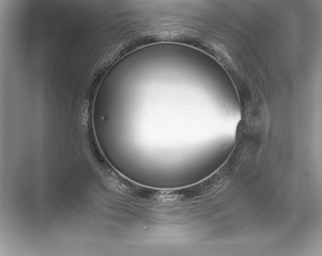 X0000071950495200607212230