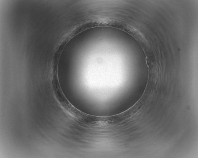 X0000071950496200607212230