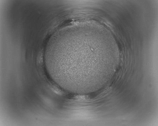 X0000071950499200607212230