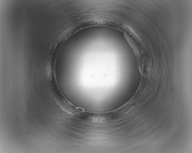 X0000071950500200607212230