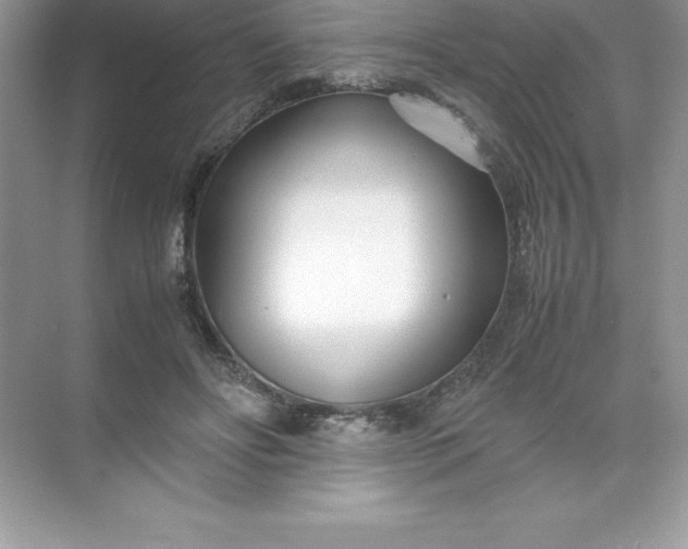 X0000071950502200607212230