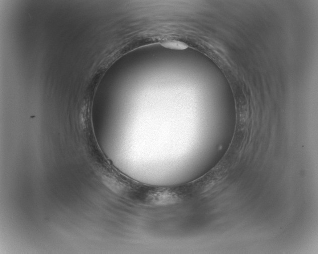 X0000071950503200607212230