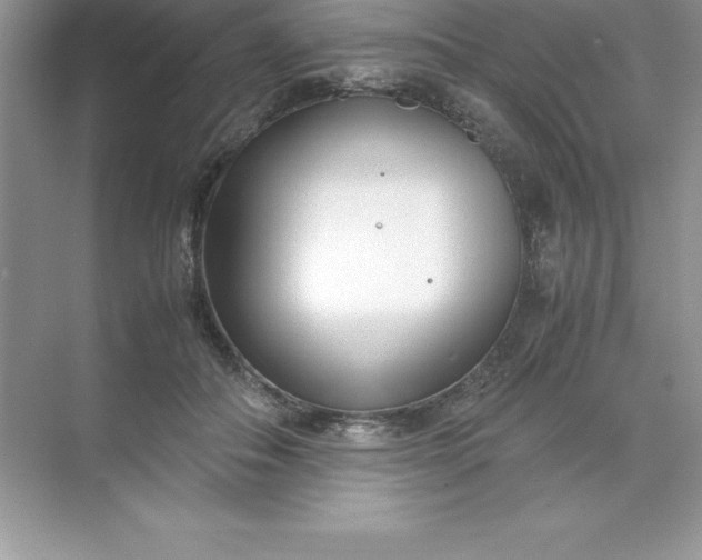 X0000071950506200607212230