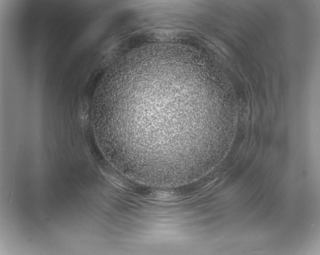 X0000071950507200607212230