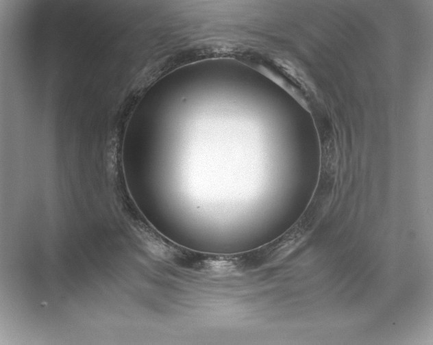 X0000071950509200607212230