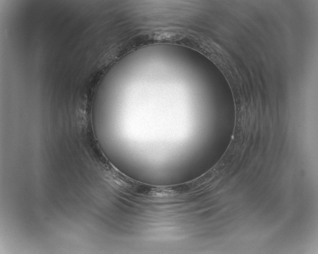 X0000071950510200607212230