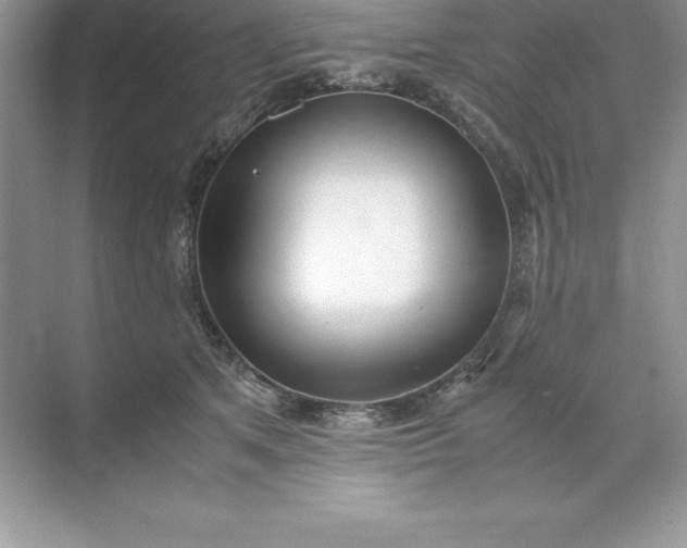 X0000071950513200607212230