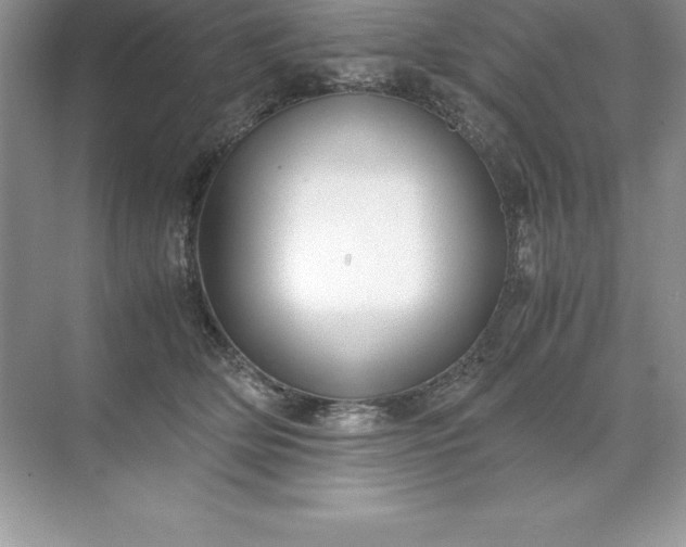 X0000071950514200607212230