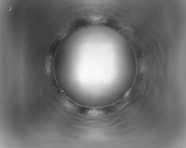 X0000071950515200607212230