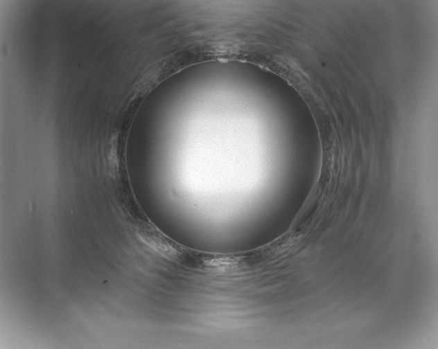 X0000071950516200607212230