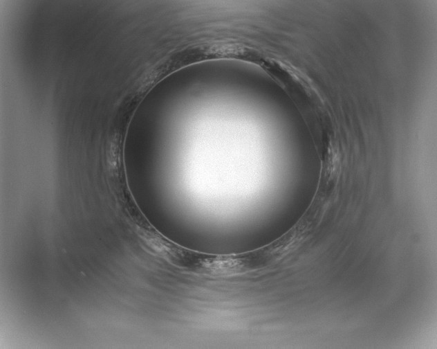 X0000071950517200607212230