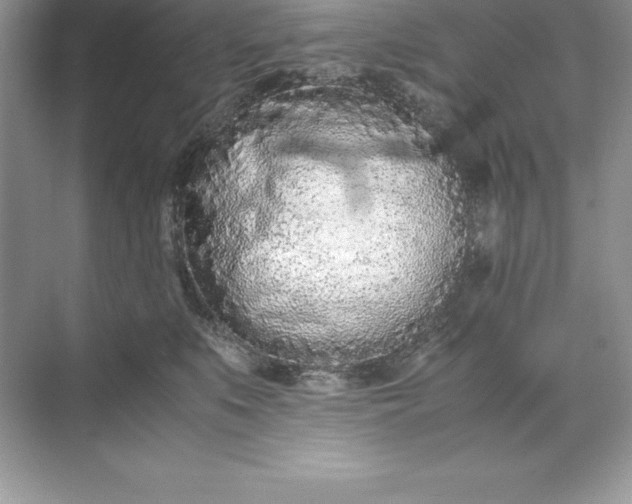 X0000071950519200607212230