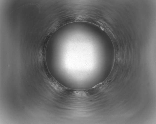 X0000071950520200607212230