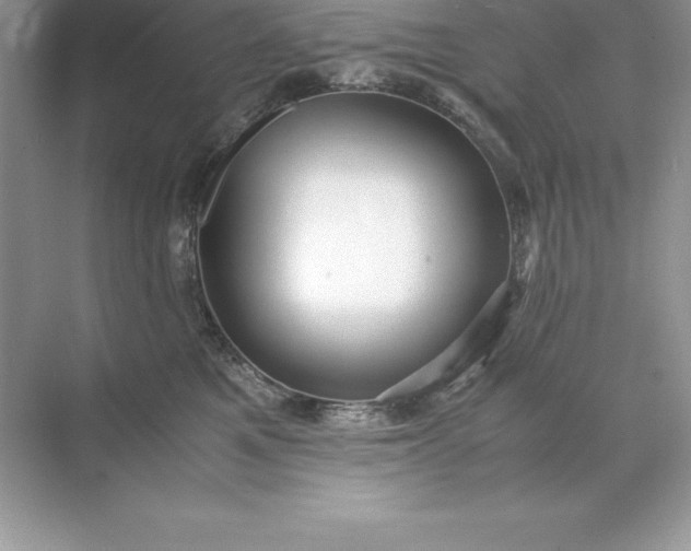 X0000071950521200607212230