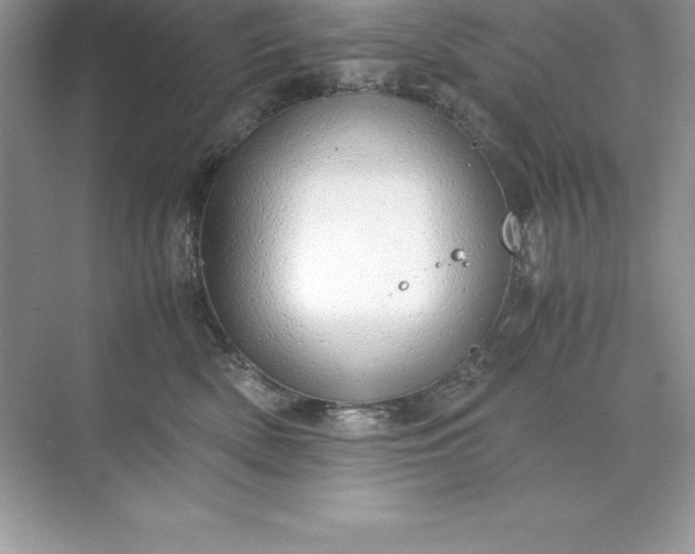 X0000071950522200607212230