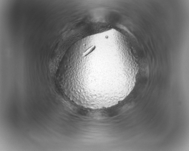 X0000071950523200607212230