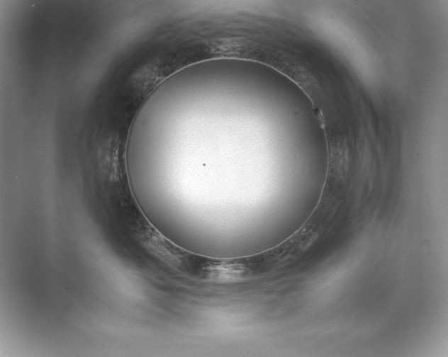 X0000071950525200607212230