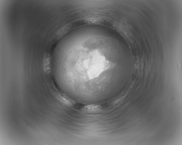 X0000071950526200607212230