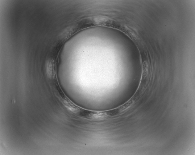 X0000071950527200607212230