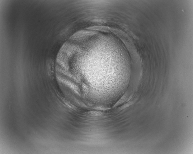 X0000071950528200607212229