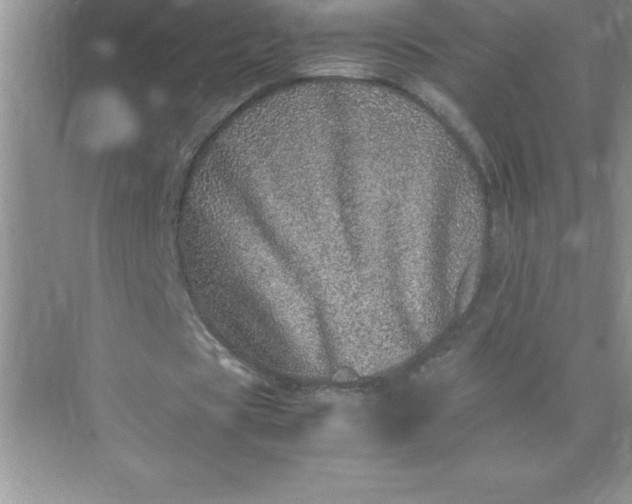 X0000071950529200607212229