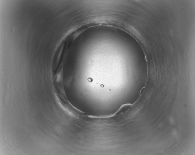 X0000071950530200607212229