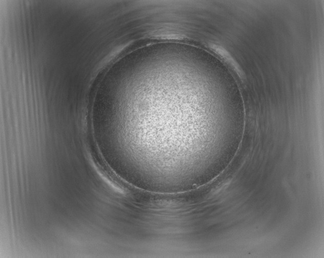 X0000071950533200607212229